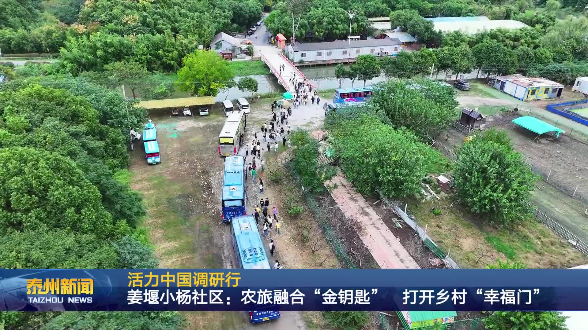 活力中國調研行  姜堰小楊社區：農旅融合“金鑰匙”  打開鄉村“幸福門”